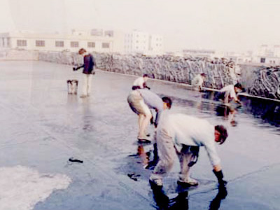 �ӹ̲�ǿ��©����